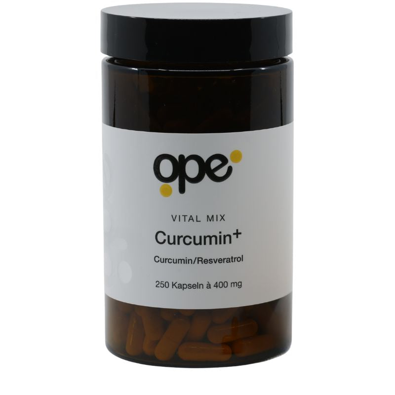 Curcumin+ Kapseln - Vorratsdose (250 Stk)