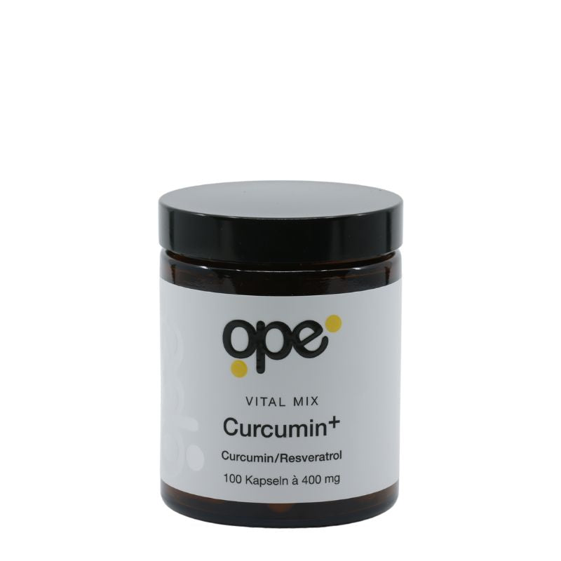 Curcumin+ Kapseln (100 Stk)