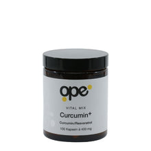 Curcumin+ Kapseln (100 Stk)