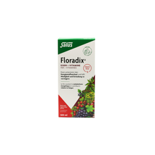 Floradix Vorteilspack (500ml)