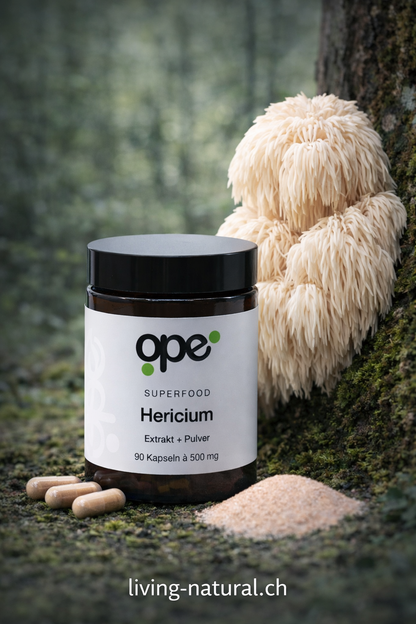 Hericium Extract + Pulver Kapseln (100 Stk)