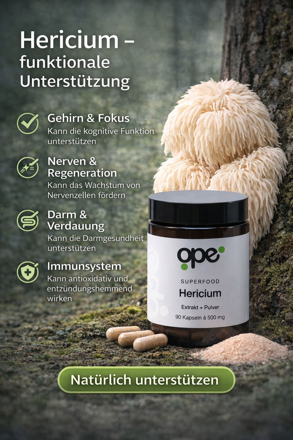 Hericium Extract + Pulver Kapseln (100 Stk)