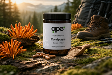 Cordyceps Extract + Pulver Kapseln - Vorratsdose (250 Stk)