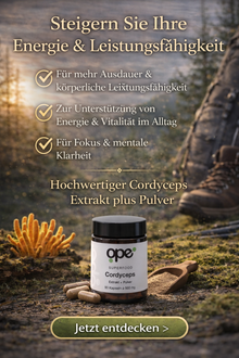 Cordyceps Extract + Pulver Kapseln (100 Stk)
