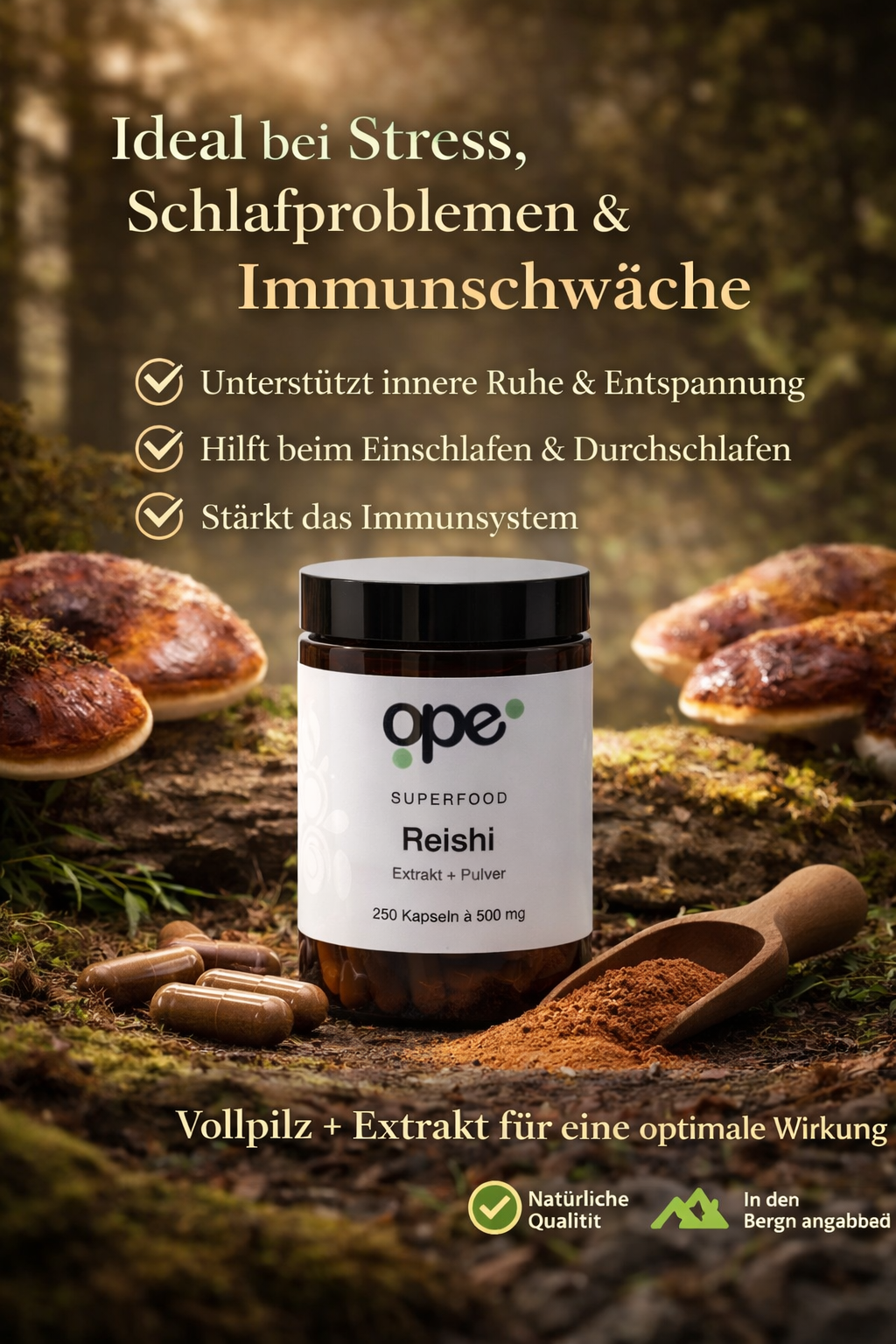 Reishi Extract + Pulver Kapseln (100 Stk)