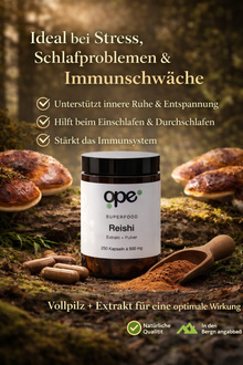 Reishi Extract + Pulver Kapseln (100 Stk)