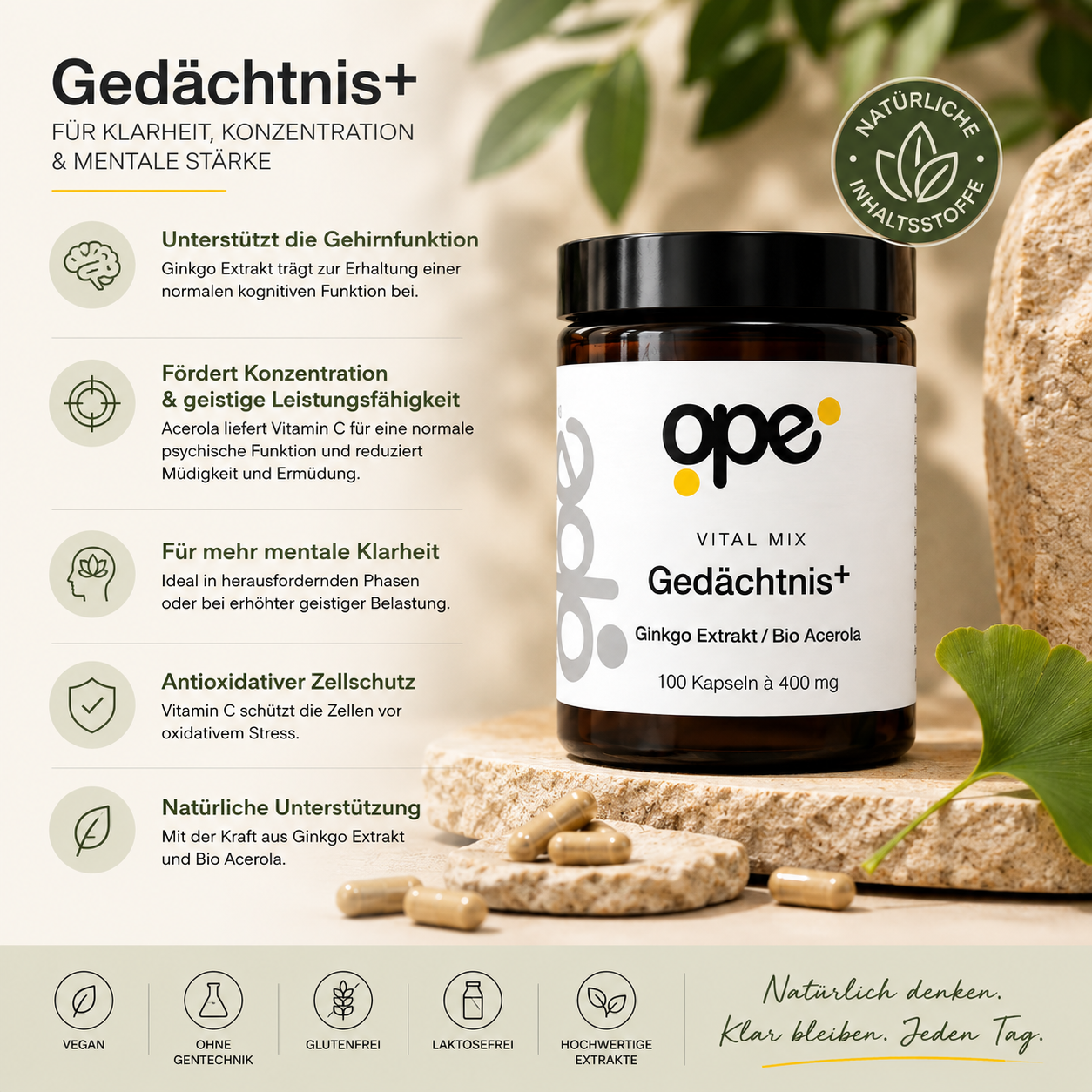Gedächtnis+