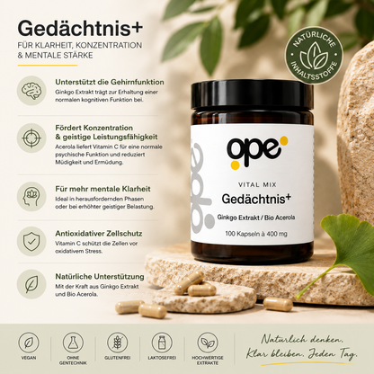 Gedächtnis+
