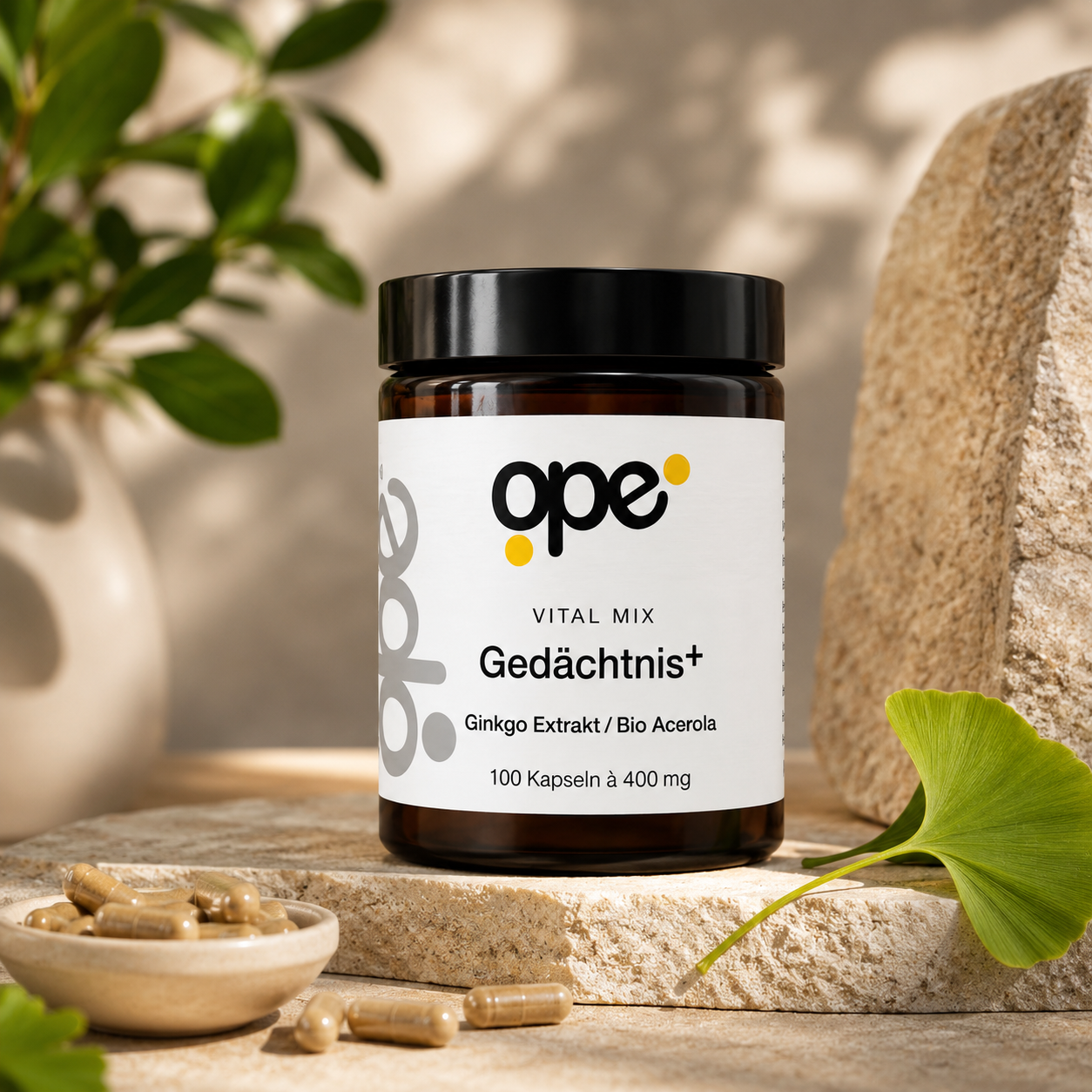 Gedächtnis+