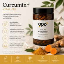 Curcumin+ Kapseln - Vorratsdose (250 Stk)