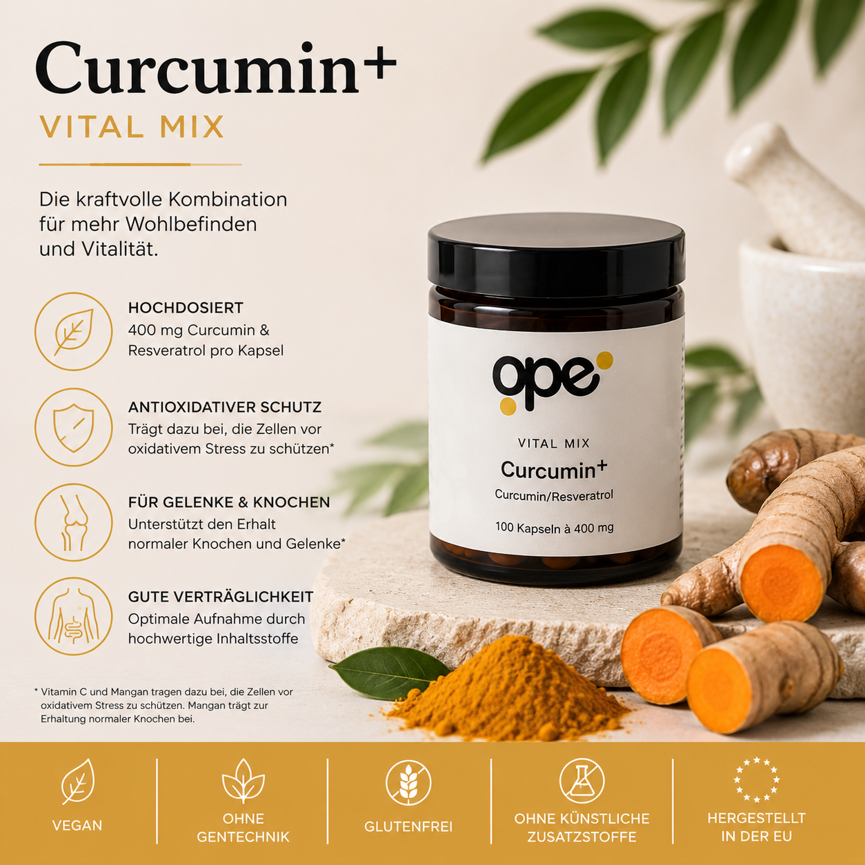 Curcumin+ Kapseln (100 Stk)