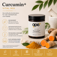 Curcumin+ Kapseln (100 Stk)