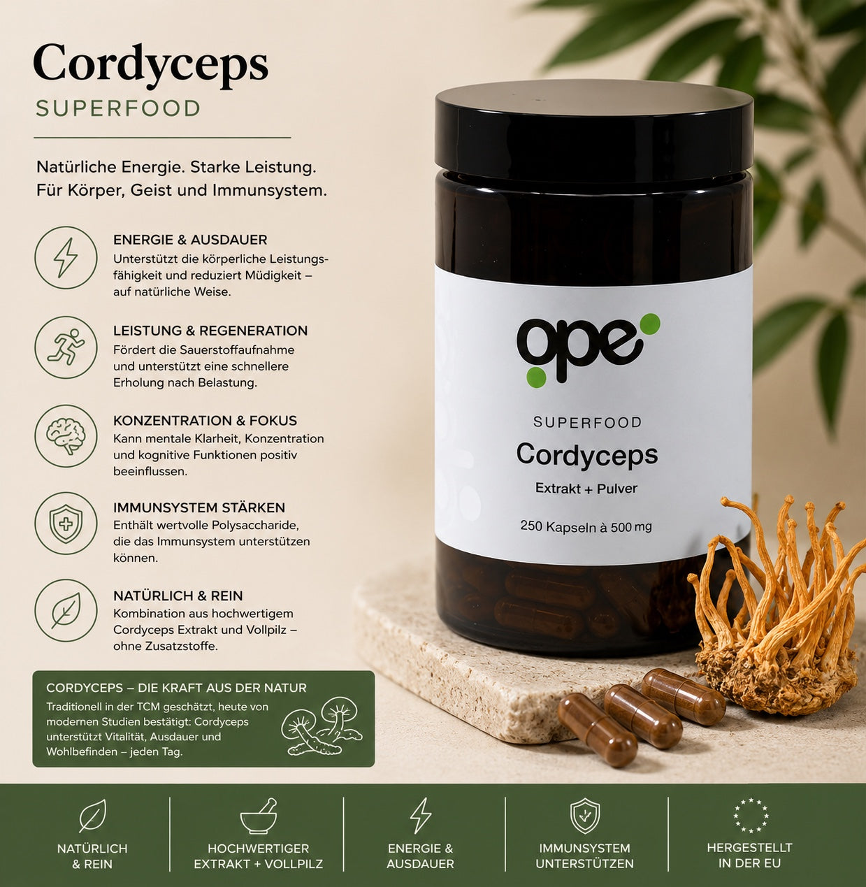 Cordyceps Extract + Pulver Kapseln - Vorratsdose (250 Stk)