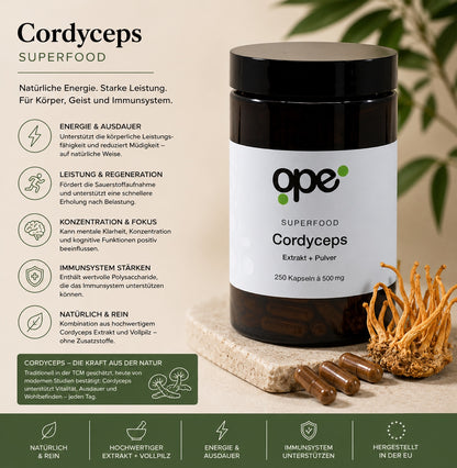 Cordyceps Extract + Pulver Kapseln - Vorratsdose (250 Stk)