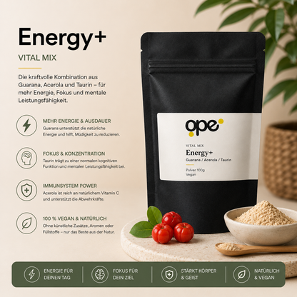Energy+ Pulver (100g)