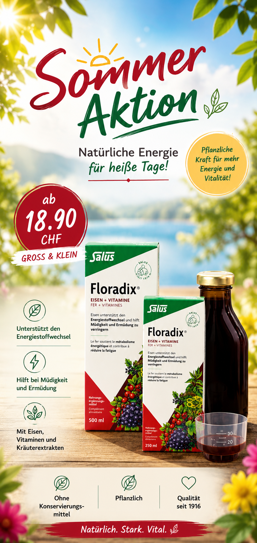 Floradix Vorteilspack (500ml)
