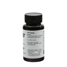 Shilajit Pulver Kapseln (100 Stk)